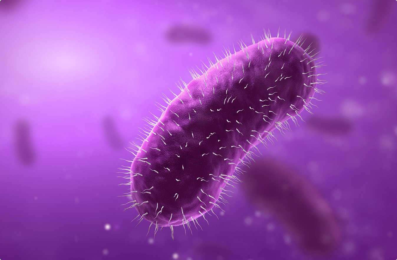 B.Sc. Medical Microbiology Colleges | B.Sc. Medical Microbiology Colleges In Dehradun