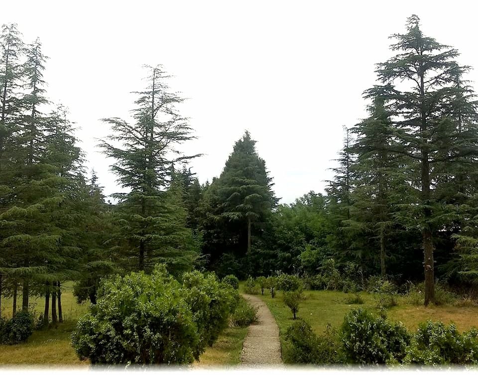 Khirsu Park Entrance