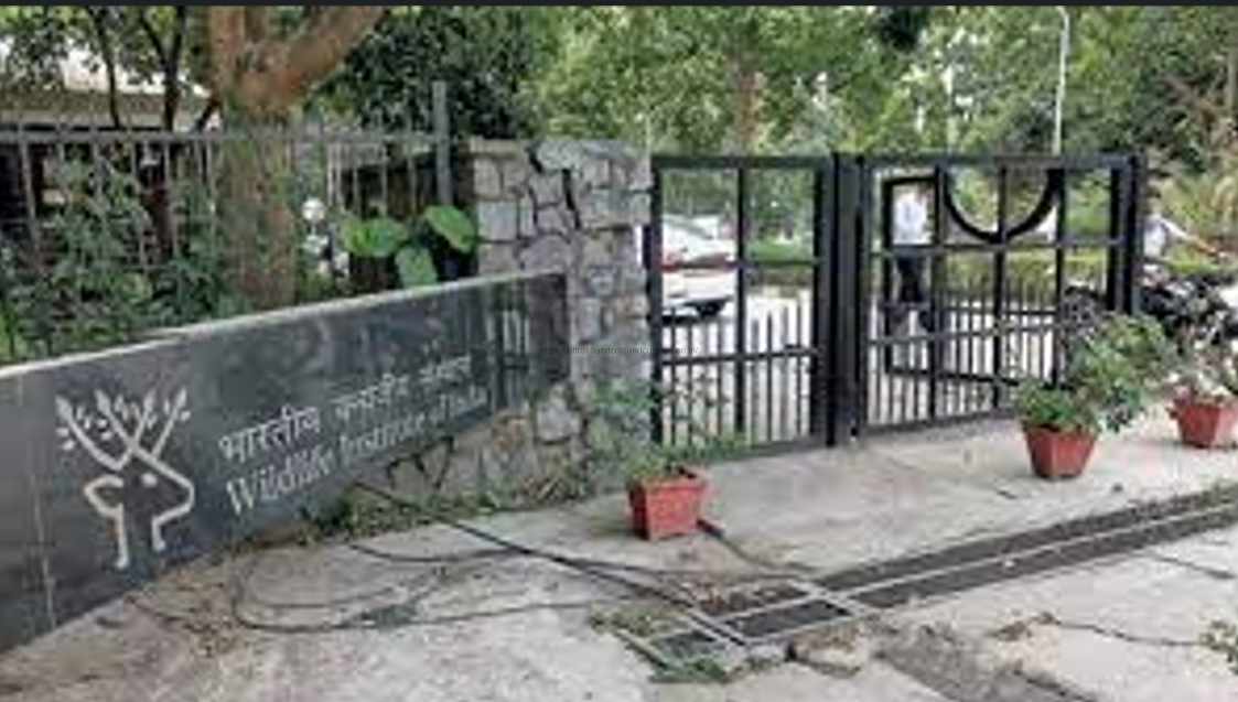 Wildlife Institute of India (WII)