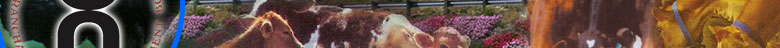 Sales Executive Vacancies in Uttarakhand Livestock Development Board, Dehradun